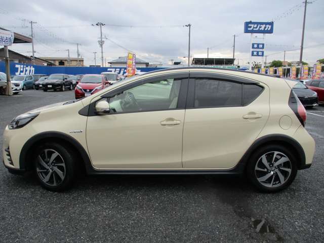 プライバシーガラス！