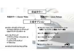 オプションリスト