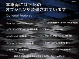 ●オプション一覧