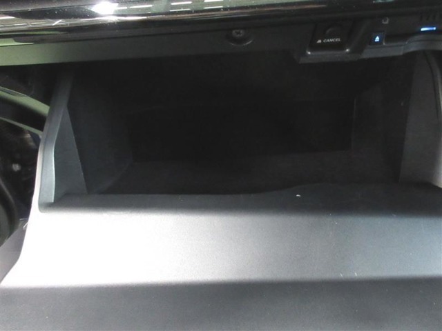 いろいろ入るグローブボックスです。