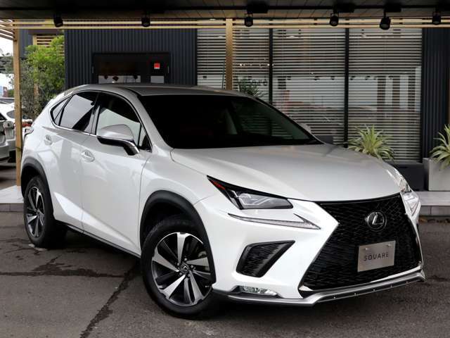 Fスポーツフロントバンパー/OP18インチ切削光輝ホイール/OPブラインドスポットモニター/衝突軽減＆追従機能/三眼ヘッドライト＆アダプティブハイビーム/パワーバックドア/シートヒーター＆クーラー