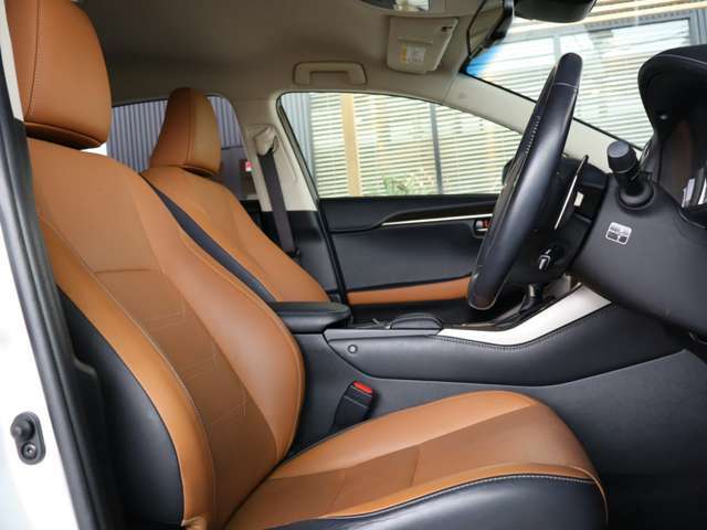 TikTokで確認できます