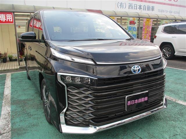 ハンズフリーデュアルパワースライドドア♪