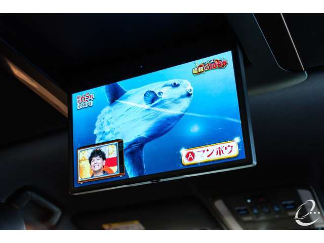 ・13.2型有機ディスプレイ（後席フリップダウンモニター）・・・￥140,800