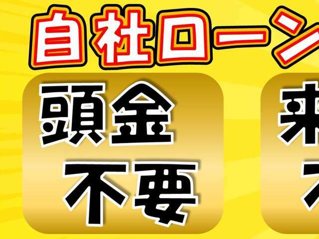 来店不要！購入保証あり！全国どこでも納車可能！お気軽にお問い合わせください♪月々の詳しいお支払いは自社HPで！http：//auto-service-ks.com/【Auto　Service　KS　092-558-8905】