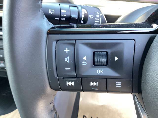 ステアリングにナビ操作可能なボタンがあるので走行中に音量調節やチャンネル切り替えができます！！