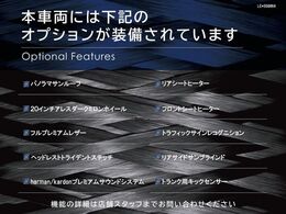 ●オプション一覧