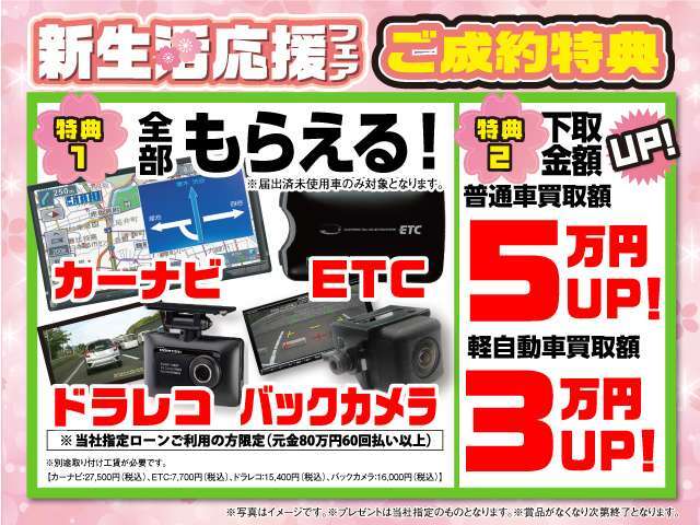 今月のWEB限定特典はコチラ！気になる方は是非お問い合わせください！