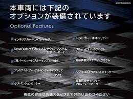 ●オプション一覧