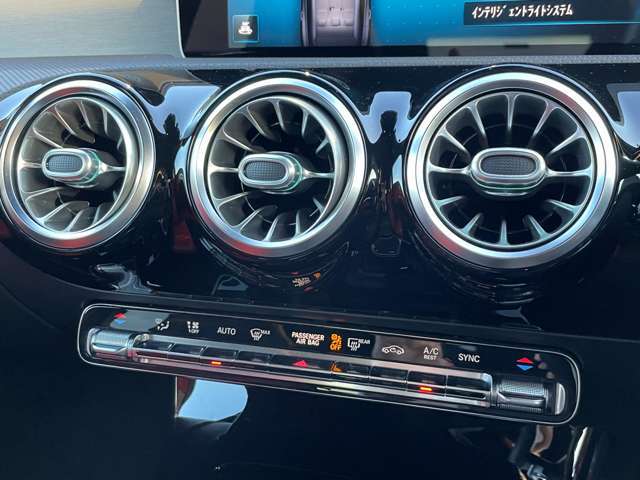 輸入車ディーラー採用のドライブレコーダーも選べます。万が一の事故際のお守りとしていかがでしょうか？その他さまざまなオプションをご用意しております。