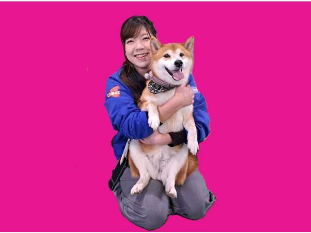 当店の看板犬　柴犬のみかんがみなさまをお迎えいたします♪おとなしいわんこです！お待ちしております♪