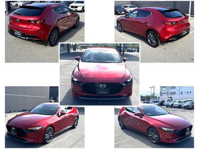 いろいろな角度から♪