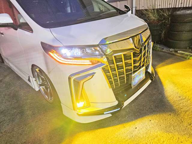 カーボン風ステアリングパネル　カーボン風ドアパネル　TRDフルスポイラー　ウイング　メッキパネル　メッキグリルカバー　シグネチャイルミ　ETC イエロー爆光ヴェレーノフォグ