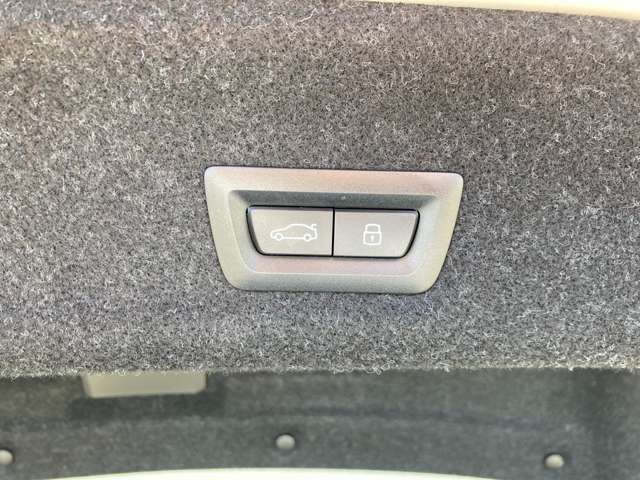 電動テールゲート付き。