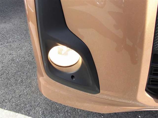 霧の時に便利なフォグランプ。