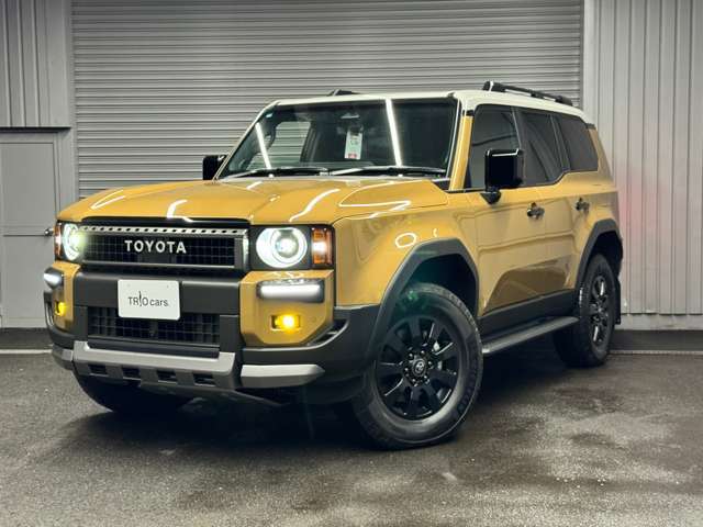 フロアマット：ロイヤルタイプファーストエディション/インテリアイルミネーションホワイト(リヤ)