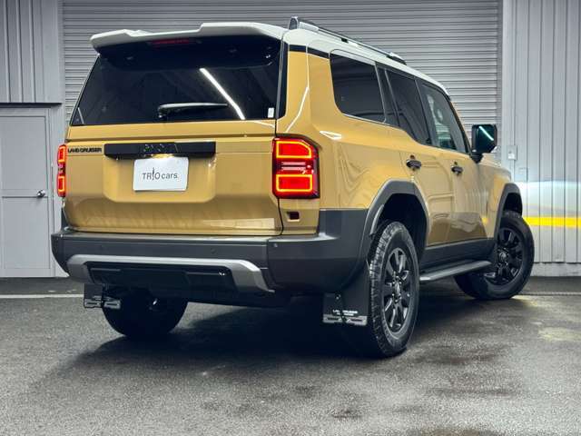 バックドアランプ/プロジェクションカーテシイルミ/スカッフイルミネーション