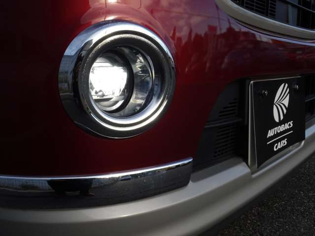 そしてフォグライトも付いています！