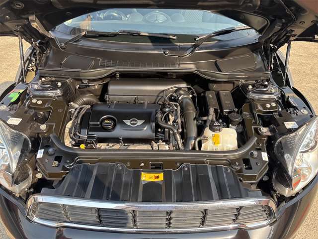 クリーニング済み