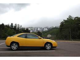 2025年5月11日、上越市アライリゾートパーク