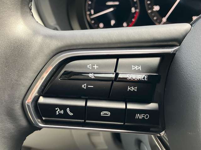 手元で操作が出来るオーディオスイッチやハンズフリースイッチを装備。