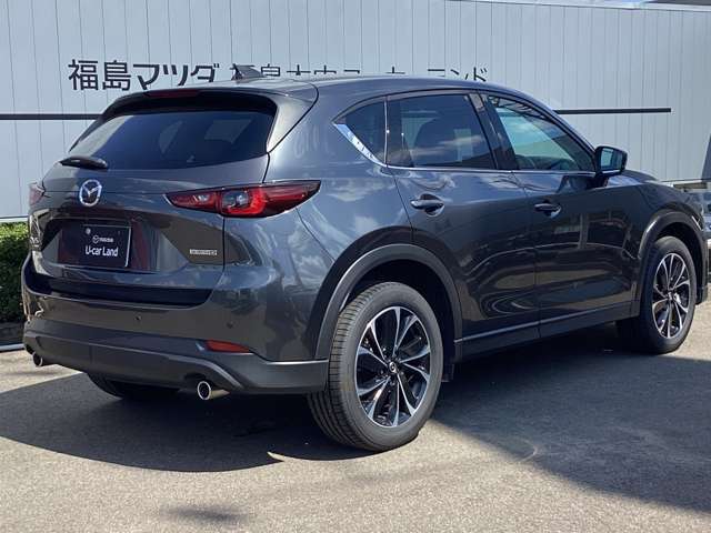 【見つめるたび、美しい表情に惹きつけられます。マツダ・CX-5】