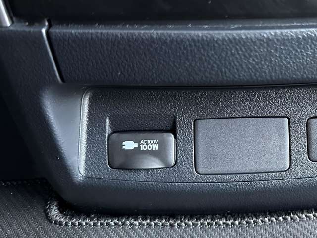 オプション100V電源付きです。