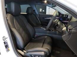 パーフォレーテッド・キルトヴェガンザシート