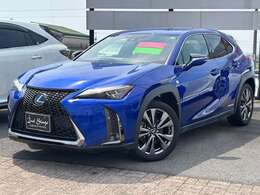 お問合わせは フリーダイヤル：　0078-6002-180799 までお気軽にご連絡下さい。