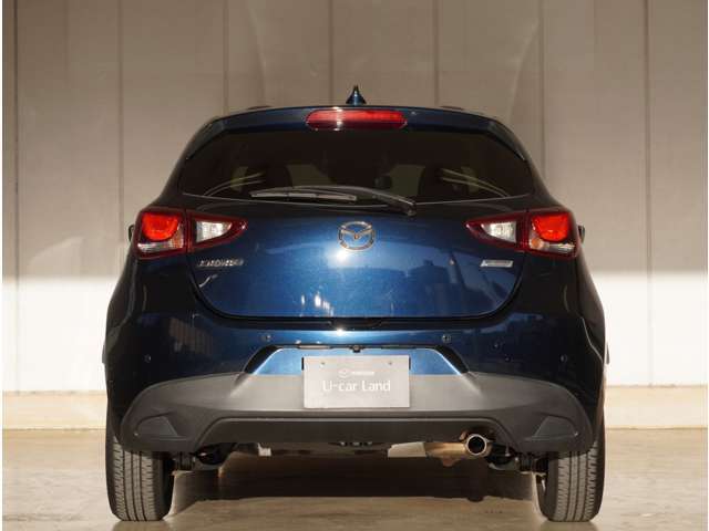 ボリューミーなこのヒップラインは力強さを演出しながらも、しなやかさをまとったデザインとなっており、数年経過しても衰えを感じません。