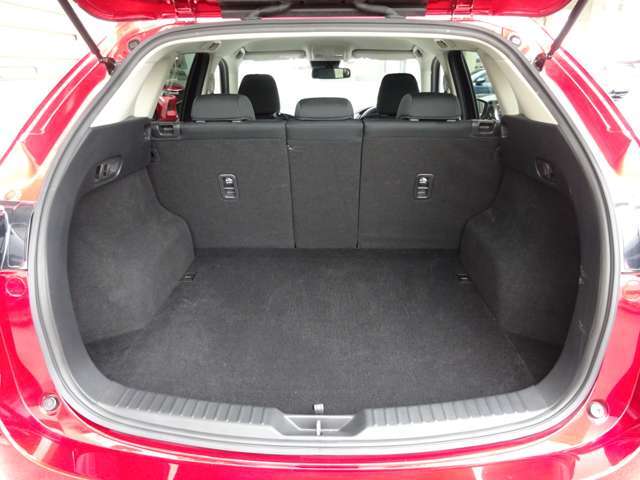 ゴルフバッグを4つ、72型スーツケースなら3つを積み込める505L（VDA方式、サブトランク含む）を確保しております。