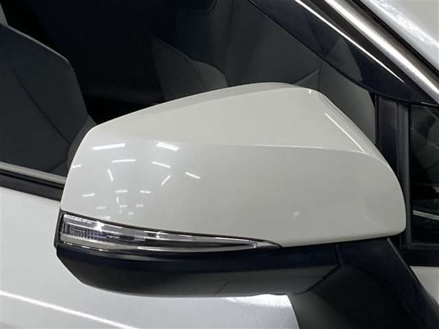 視認性の良いターンランプ付きドアミラー。　周りからどっちに曲がるか判りやすくなって安全性が向上しますね。