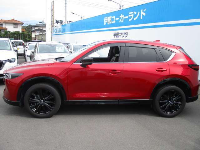 ドアバイザー装着！