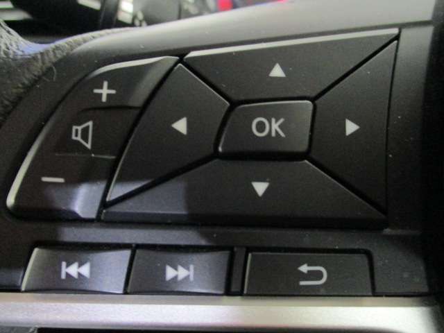 左側、車両情報切替、オーディオ操作スイッチ！