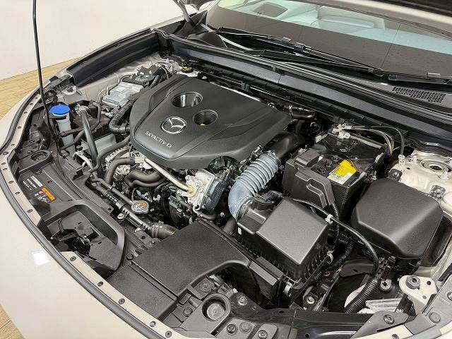 初年度登録より最長15年間、任意継続も可能なロングランサポートサービス【全国対応型GSワランティー】を完備。遠方販売もお任せ下さい。日本全国どちらにでもお車の販売・ご納車が可能でございます。