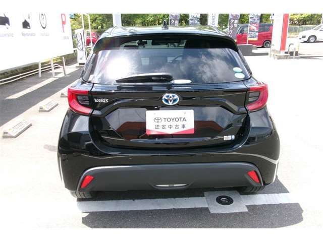 後方からの写真です。大きなバックドアで荷室も確保。