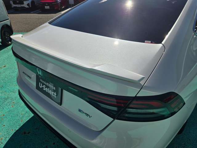 トランクスポーラーです。