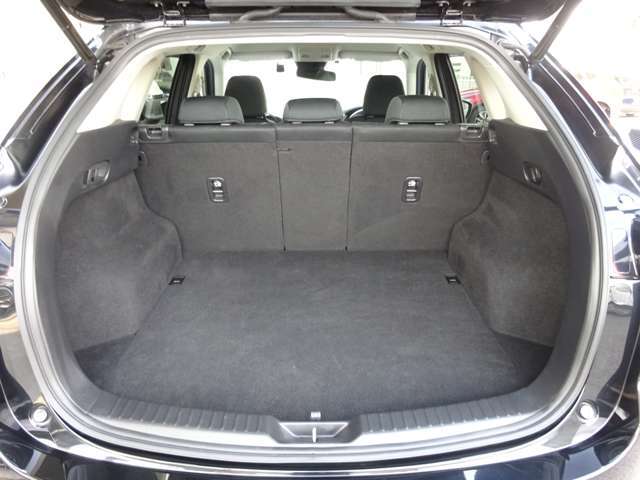ゴルフバッグを4つ、72型スーツケースなら3つを積み込める505L（VDA方式、サブトランク含む）を確保しております。
