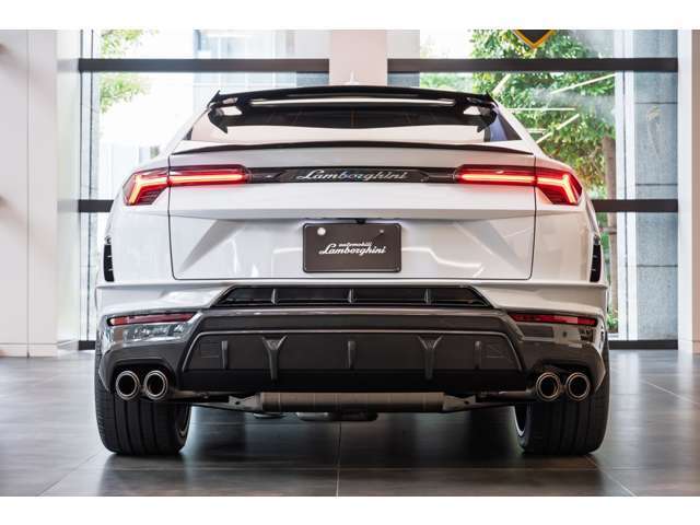 Full Exterior Carbon fiber package - Shiny