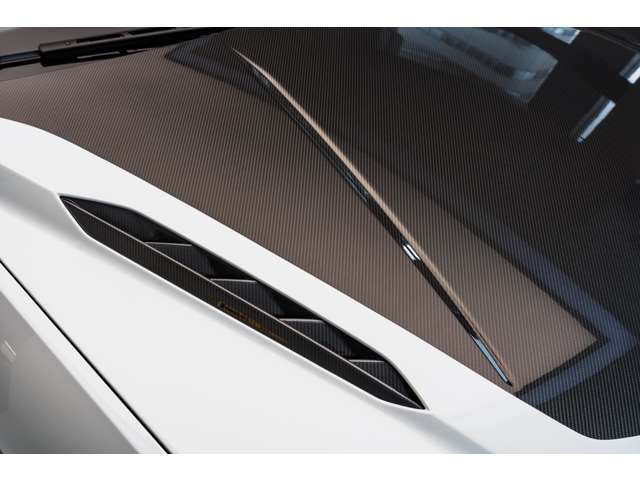 Bonnet in Shiny Carbon Fiber Livery