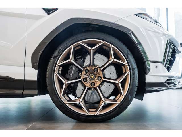 Rims Pelope 23 Diamond finished Bronze with titanium wheel bolts