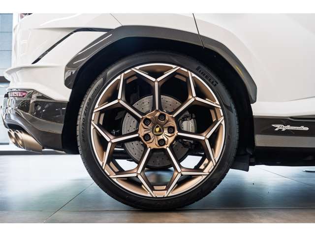 Rims Pelope 23 Diamond finished Bronze with titanium wheel bolts