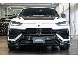 Bonnet in Shiny Carbon Fiber Livery