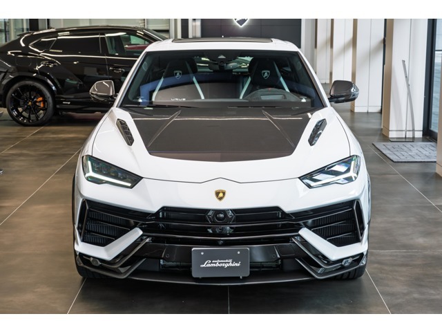 Bonnet in Shiny Carbon Fiber Livery