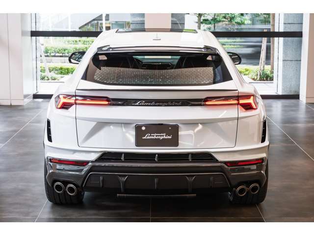 Full Exterior Carbon fiber package - Shiny