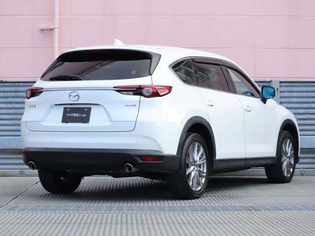 マツダの魂動デザインは、クルマに命を与えるデザイン思想です。生物が見せる一瞬の動きの強さや美しさをベースに、躍動感や緊張感を表現しています。日本の美意識を礎とした「新たなエレガンス」も追求しています。