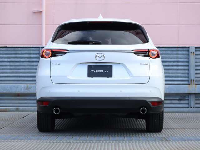 細身のシグネチャーウイングをはじめとして、テールレンズ、プレスラインの全てが水平基調となっており、この凝ったデザインが精緻な印象を生み出します。