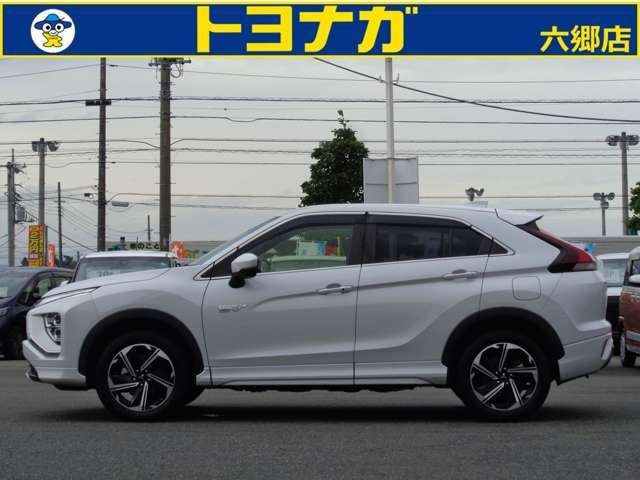 前橋・伊勢崎方面からお越しの方安中方面に向かって頂き＜歩道橋のある交差点を過ぎてすぐ左側＞になります。歩道橋の右側のトヨナガは小鳥店です。お間違いのないようにお越し下さい。ご来店お待ちしております！