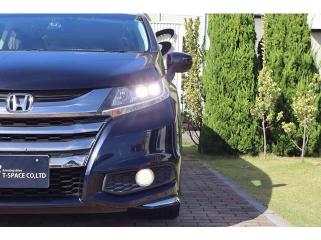 ◆只今、とってもお得な【SALE】開催中です。様々な特典をご用意してお待ちしております。