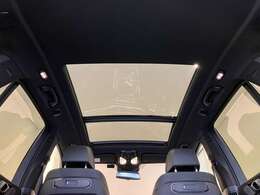 遠方により店頭までお越し頂けない方へ-追加資料の作成を無料で承っております。気になる点がございましたら、別途画像をお送りさせて頂くことも可能でございます。どうぞお気軽にお申し付けくださいませ。